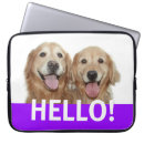 Search for hello the electronics Dog