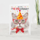Search for tabby cat birthday cards Cats
