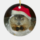 Search for groundhog christmas tree decorations Woodchuck