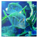 Search for tropical tiles Swimming