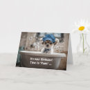 Search for chihuahua birthday cards Puppies