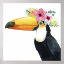 Search for tropical toucan posters Animals
