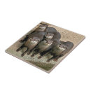 Search for wildlife tiles Cute