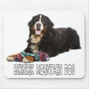 Search for mountain mousepads Bernese mountain dog