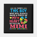 Search for mimi magnets Awareness