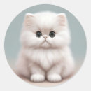 Search for fluffy cat stickers Kitten
