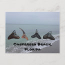 Search for treasure postcards Florida