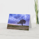 Search for lonely tree cards Landscape