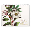 Search for vintage botanical calendars Antique