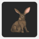 Search for cute brown bunny stickers Rabbit