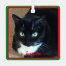 Search for fun christmas tree decorations Pets