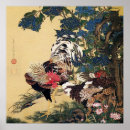 Search for hen posters Feathers