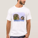 Search for ao clothing Ao phang nga