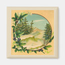 Search for conifer magnets Snow