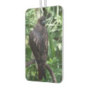 Search for chicken car air fresheners Bird