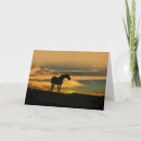 Search for sunset cloud cards Horse