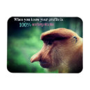 Search for funny monkey magnets Humour