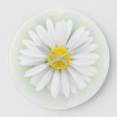 Search for daisy flower clocks Chic