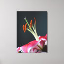 Search for stamen canvas prints Floral