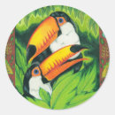 Search for amazon labels toucan