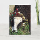 Search for sheep bell Bells