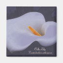 Search for callas magnets Flower