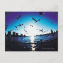 Search for len postcards Sun