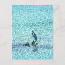 Search for thinker postcards Nature
