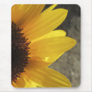 Search for sunflower mouse Yellow flower