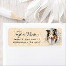 Search for shetland sheepdog return address labels Watercolor