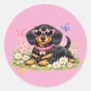 Search for cute dachshund stickers Doxie