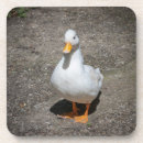 Search for duck coasters Cute