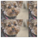 Search for terrier fabric Yorkie