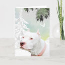 Search for pitbull christmas cards Snow