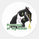Search for cat graduation stickers Kitten