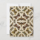 Search for vintage insect illustration postcards Moths