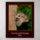 Search for butterfly tree posters Butterflies