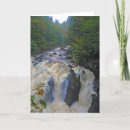 Search for water travel cards Green