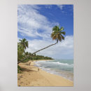 Search for tre posters Nature