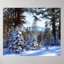Search for backlighting posters Bright