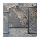 Search for fossil tiles Stone