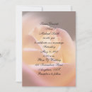Search for yellow rose wedding invitations Summer