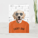 Search for funny dog congratulations cards Retirement