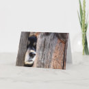 Search for puppy nose cards Pet