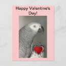 Search for parrots valentines day cards Red