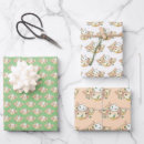Search for dumpling wrapping paper Food
