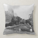 Search for china cushions 20th