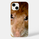 Search for rat iphone cases Animals
