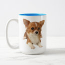 Search for long haired chihuahua mugs Chihuahuas