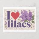 Search for lilacs postcards Heart
